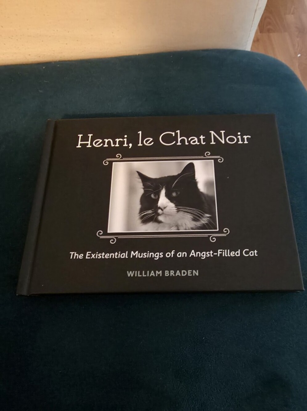 HC book Henri, le Chat Noir:The Existential Musings of an Angst-Filled Cat
